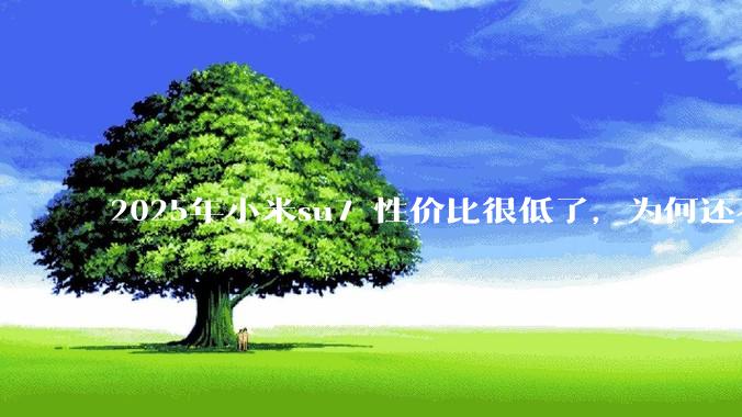 2025年小米su7 性价比很低了，为何还不更新改款？